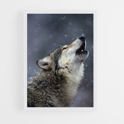 wolf-6 cadre Blanc