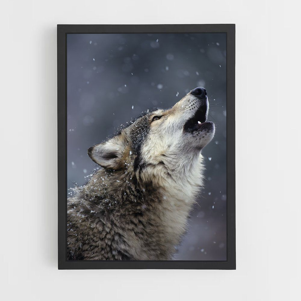 wolf-6 cadre Noir