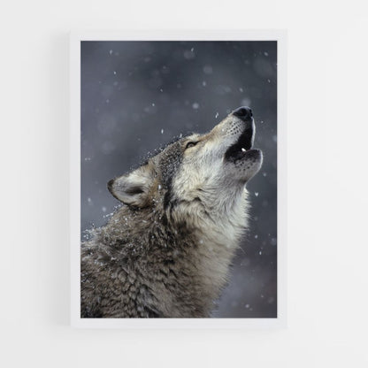 Poster Loup Chant