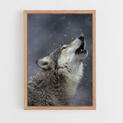 Poster Loup Chant